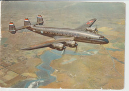 Vintage Pc KLM K.L.M Royal Dutch Airlines Issue Lockheed Constellation L-049 Aircraft - 1919-1938