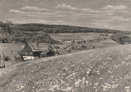 Rehefeld/Erzgebirge, Stamped Berlin Geschutzte Vogelarten - Rehefeld