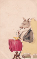 ANE(ILLUSTRATEUR) CARTES A JOUER - Donkeys