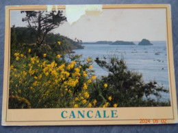 CANCALE - Cancale