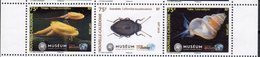 NEW CALEDONIA, 2018, MNH, NATURAL HISTORY MUSEUM, INSECTS, BEETLES, MARINE LIFE, TRIOPS, SHELLS, 3v - Marine Life