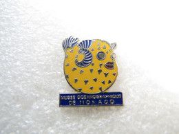 PIN'S     MUSÉE OCÉANOGRAPHIQUE  MONACO    POISSON      Email Grand Feu - Dieren