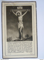 Doodsprentje Alexander Van Regenmortel Kessel 1953 - 1938 Ere-gemeente Ontvanger - Devotion Images
