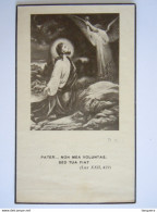 Doodsprentje Maria Celestina Mariën Nijlen 1855 Oude-God 1938 - Devotion Images