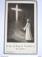 Doodsprentje Maria Catharina Dielen Weelde 1860 Hove 1939 Wed. Emiel Carolus Ludovicus Van Meensel - Andachtsbilder