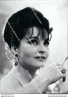 Fo1962 Foto Originale Yvonne Furneaux  Actress Attrice Star Film Star - Sonstige & Ohne Zuordnung