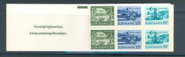 Suriname 1976 Airmail Stamp Booklet MNH/** - Surinam