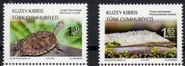 TURKISH CYPRUS, 2018, MNH, REPTILES, LIZARDS, TURTLES, 2v - Schildpadden