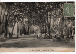 Carte Postale Ancienne Sainte Cécile - Avenue De Valréas - Sonstige & Ohne Zuordnung