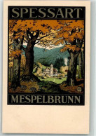 13531507 - Mespelbrunn - Aschaffenburg