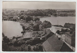 CARTOLINA DI Pełczyce - POLONIA - FORMATO GRANDE - Poland