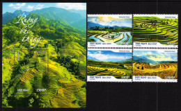 Vietnam - 2023 - Rice Terraces - Mint Stamp Set + Souvenir Sheet - Vietnam