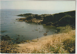 LE POULDU  LA PLAGE DE PORT SACH ENTRE LE POULDU ET DOELAN - Le Pouldu