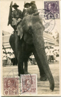 1932 Thailand Siam Elephant Photocard To USA - Thailand