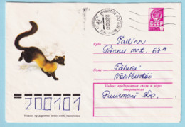 USSR 1979.0202. Ussuri Marten (Martes Flavigula). Prestamped Cover, Used - 1970-79