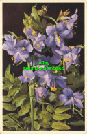 R619815 2250. Polemonium Coeruleum L. Jacobs Ladder. E. Gyger. J. Burrow - Mundo