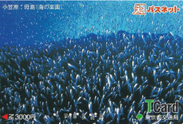 Japan Prepaid T Card 3000 - Fish Fishes Underwater - Giappone