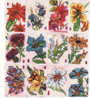 Japan - 12 X Matchbox Labels, Flowers, Painting, Flora - Zündholzschachteletiketten