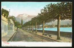 14864 - SUISSE - VEVEY  - DOS NON DIVISE - Vevey