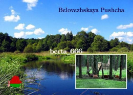 Belarus Belovezhskaya Pushcha UNESCO View New Postcard - Wit-Rusland