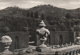 AD238 Montecatini Terme (Pistoia) - Panorama Del Castello Dallo Stabilimento Tettuccio / Viaggiata 1953 - Sonstige & Ohne Zuordnung