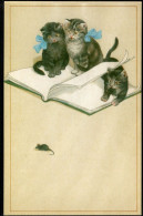 Chats - Cats -katzen - Poezen Spelen Met Boek En Muisje  -repro - Chats