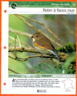 ROBIN A FLANCS ROUX Oiseau Illustrée Documentée  Animaux Oiseaux Fiche Dépliante - Animali