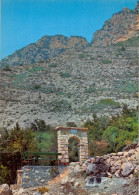 ORGAÑA , FONT BORDONERA , FOTO JANOT Nº 91 , LÉRIDA , T.P. NO CIRCULADA - Lérida