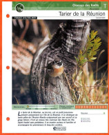 TARIER DE LA REUNION Oiseau Illustrée Documentée  Animaux Oiseaux Fiche Dépliante - Dieren