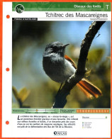 TCHITREC DES MASCAREIGNES Oiseau Illustrée Documentée  Animaux Oiseaux Fiche Dépliante - Animaux