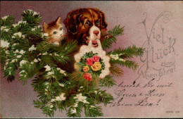 Chat  Chien - Cat And Dog -katze Hund- Poes En Hond In Kerstboom - Gatos