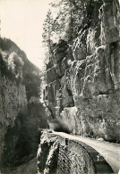 38 - Isère - Environs De Grenoble - Gorges De La Bourne - Mention Photographie Véritable - Carte Dentelée - CPSM Grand F - Sonstige & Ohne Zuordnung