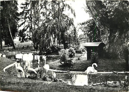 03 - Vichy - Le Bassin Des Cygnes Et Les Flamants - Mention Photographie Véritable - CPSM Grand Format - Voir Scans Rect - Vichy