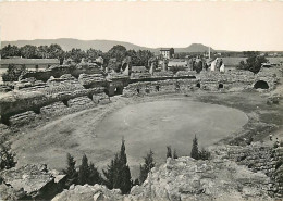 83 - Fréjus - Les Arènes Romaines - Mention Photographie Véritable - CPSM Grand Format - Voir Scans Recto-Verso - Frejus