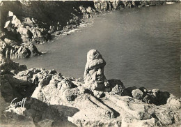 35 - Rothéneuf - Les Rochers Sculptés - M. De Rotheneuf - Mention Photographie Véritable - CPSM Grand Format - Carte Neu - Rotheneuf