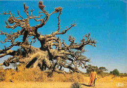 Mali - Baobab - A Baobab Tree - Carte Neuve - CPM - Voir Scans Recto-Verso - Malí