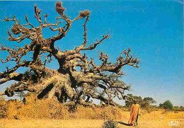 Mali - Baobab - A Baobab Tree - Carte Neuve - CPM - Voir Scans Recto-Verso - Mali