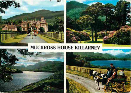 Irlande - Kerry - Muckross House Killarney - Multivues - Attelage De Chevaux - Ireland - CPM - Voir Scans Recto-Verso - Kerry