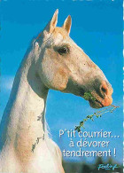 Animaux - Chevaux - Portrait De Cheval - Tete De Cheval - CPM - Voir Scans Recto-Verso - Paarden