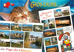 Animaux - Chats - Chateaux De La Loire - CPM - Voir Scans Recto-Verso - Katzen