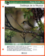 ZOSTEROPS DE LA REUNION Oiseau Illustrée Documentée  Animaux Oiseaux Fiche Dépliante - Dieren