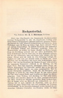 A102 1478 Bidermann Hochpustertal Pustertal Sexten Prags Artikel 1887 - Altri & Non Classificati