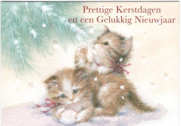 2 Chats - Cats  - Katzen - Kerstpoesjes Met Strikje- Gliter - Katzen