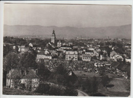 CARTOLINA DI Żywiec - POLONIA - FORMATO GRANDE - Polen