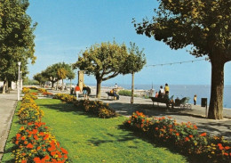 1 AK Schweiz * Neuchatel (Neuenburg ) Die Uferpromenade Quai Osterwald In Neuchatel * - Neuchâtel