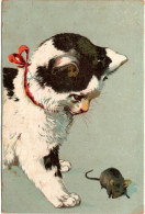 Chat Souris - Cat -katze - Poes En Muis - Katzen