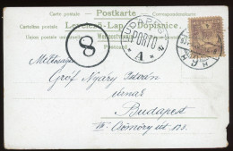 HUNGARY 1901. Postcard  With 8f Porto Cancellation - Brieven En Documenten