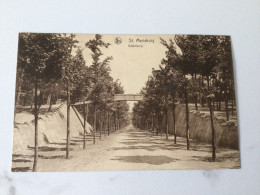 Carte Postale Ancienne St. Mariaburg Kattenberg - Brasschaat