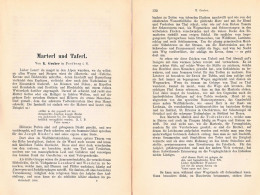 A102 1487 Gruber Marterl Und Taferl Bildstock Artikel 1888 - Autres & Non Classés