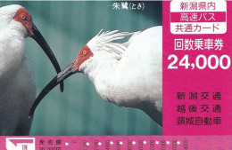 Japan Prepaid Bus Card 24000 - Birds Animals Toki - Giappone